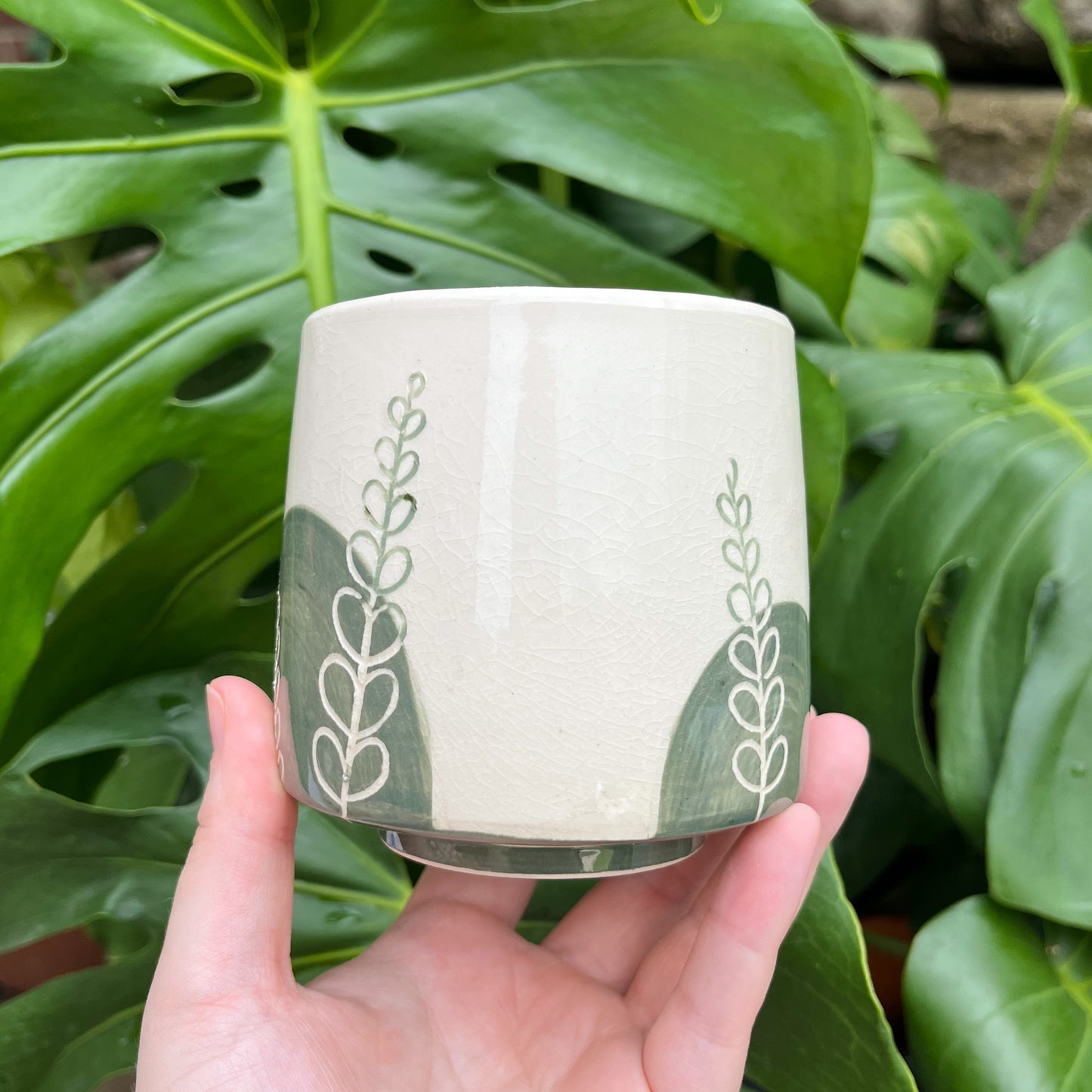Green Fern Cup