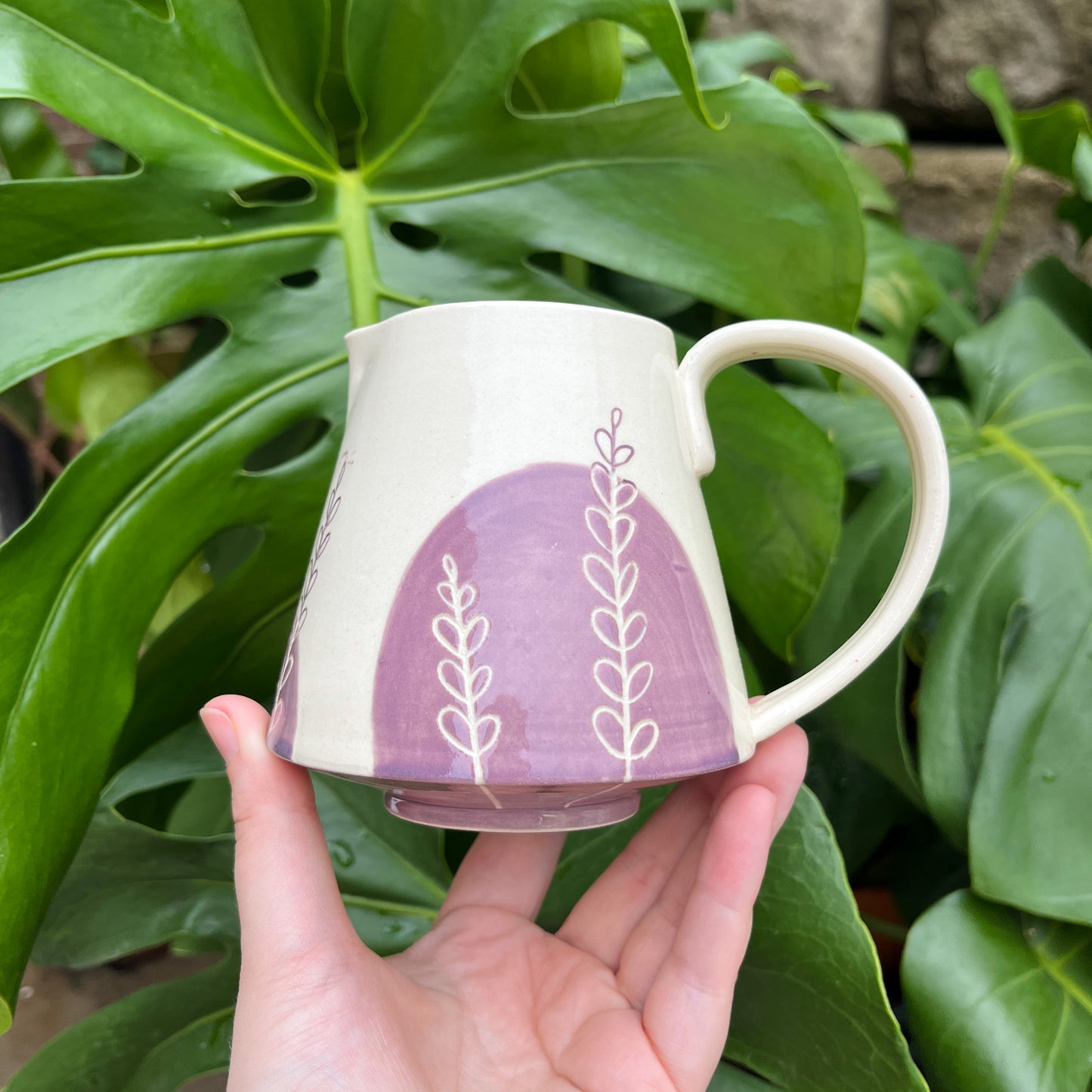 Purple Fern Mini-Pitcher
