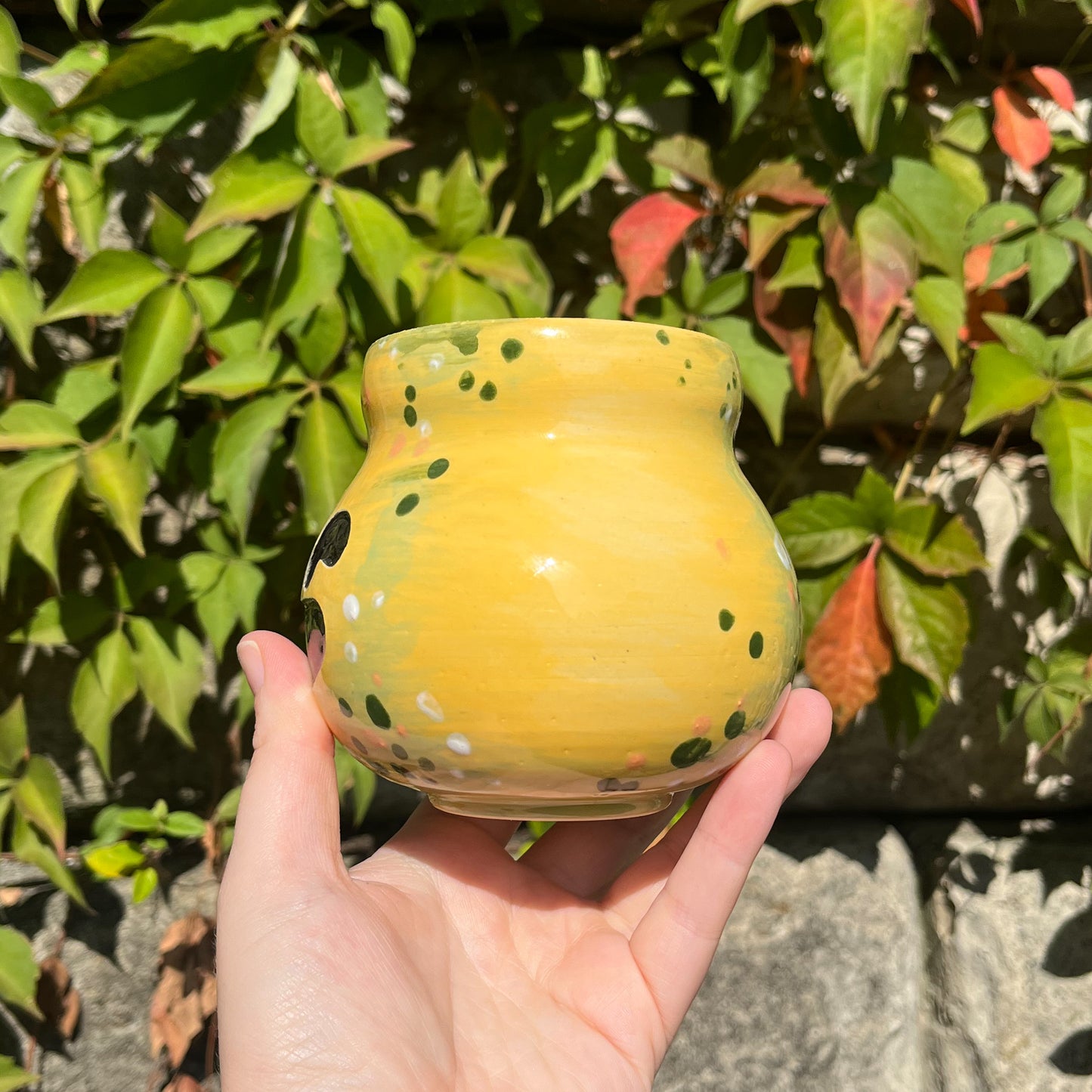 Gooby Gourd Mug 9