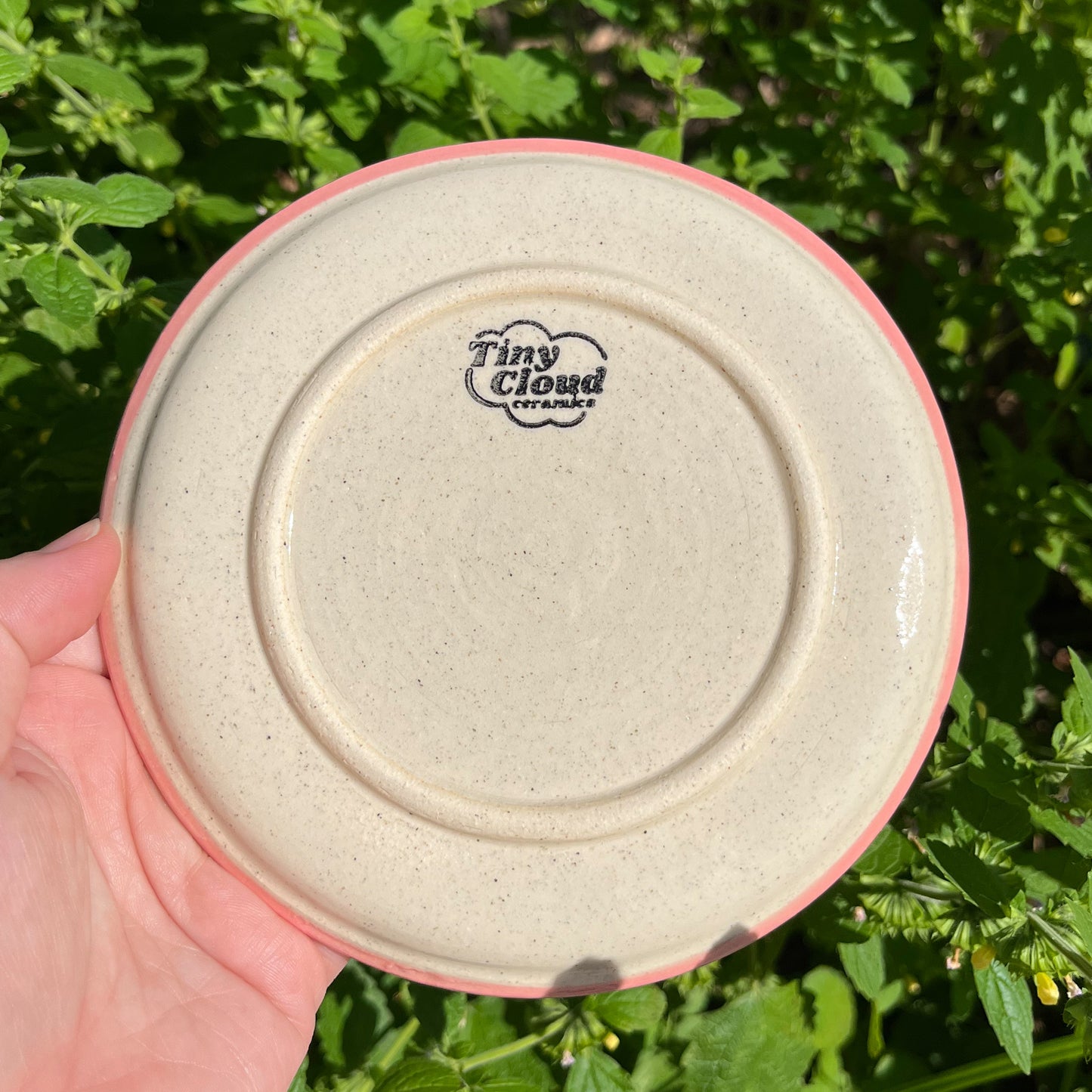 Picnic Blanket Side Plate