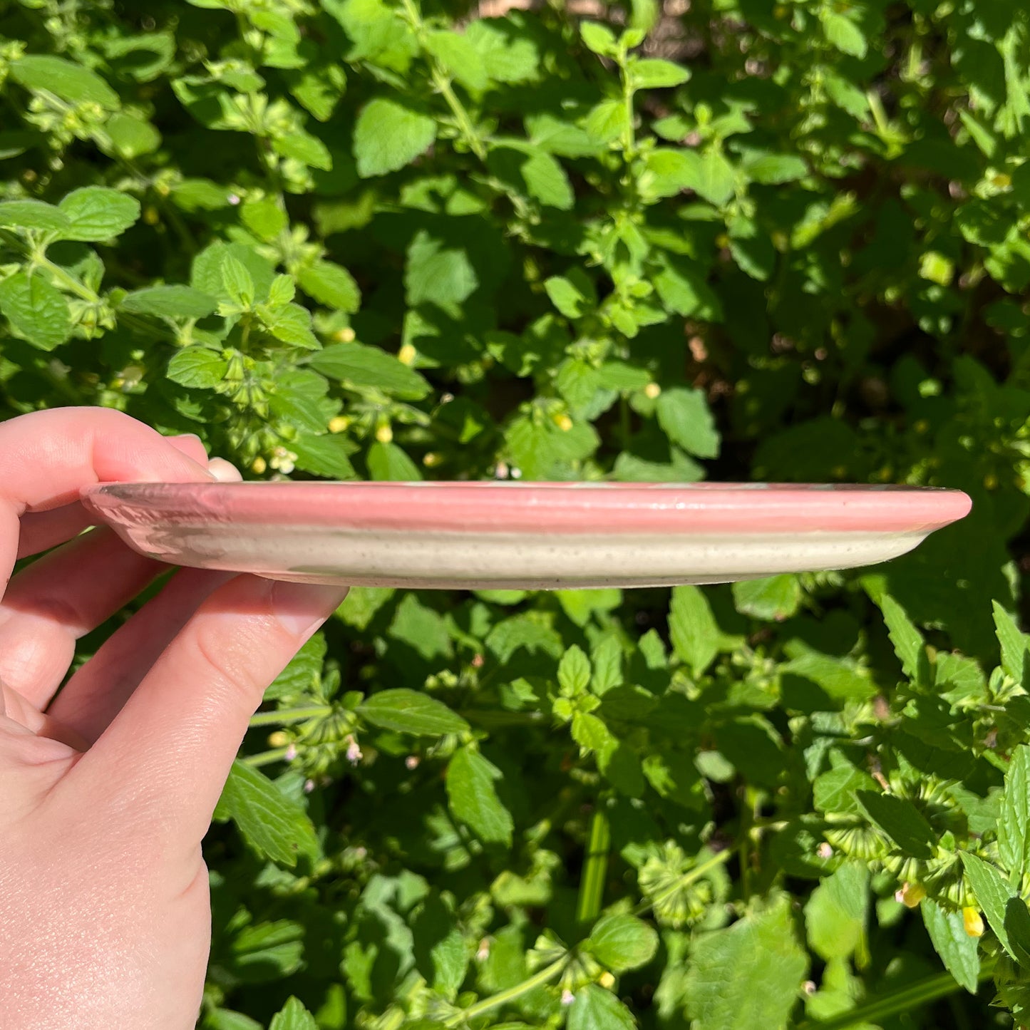 Picnic Blanket Side Plate