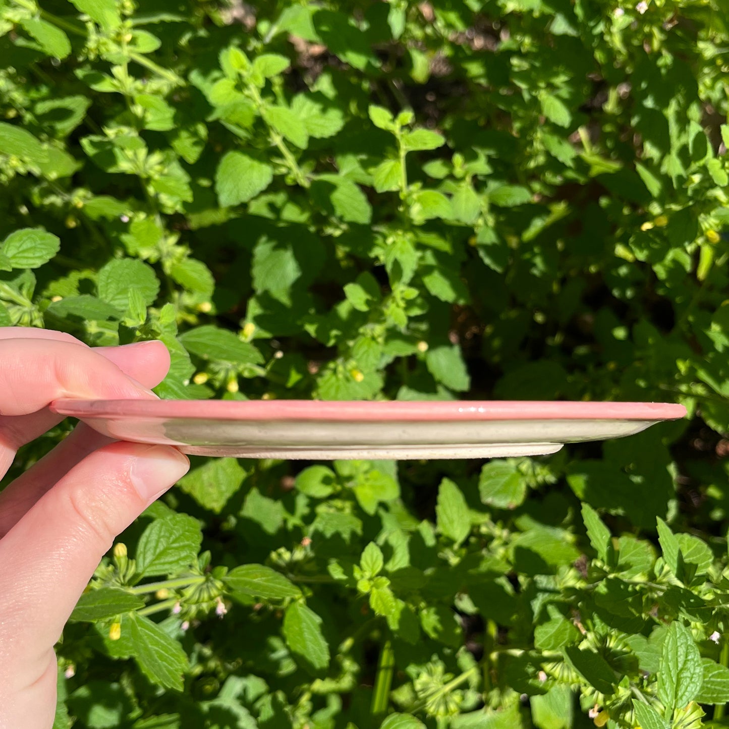Picnic Blanket Side Plate Alt check