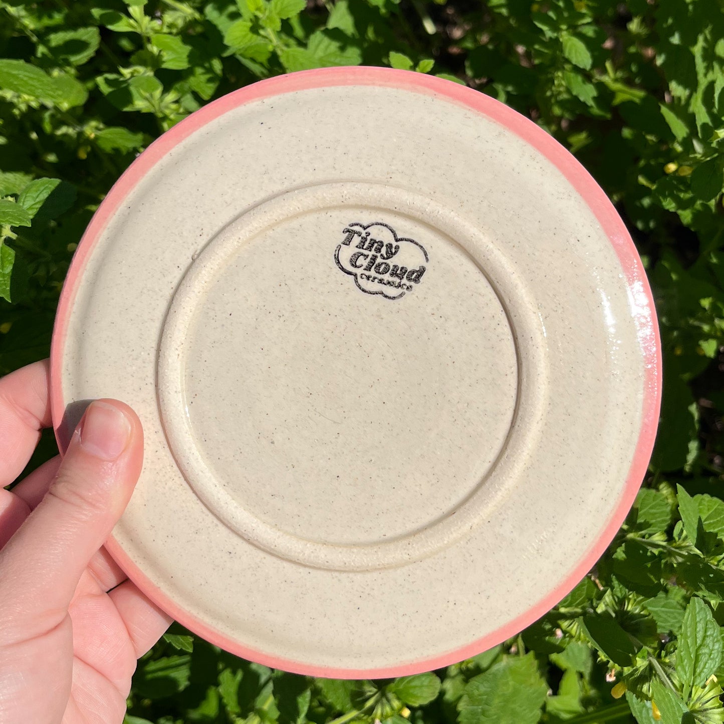 Picnic Blanket Side Plate Alt check