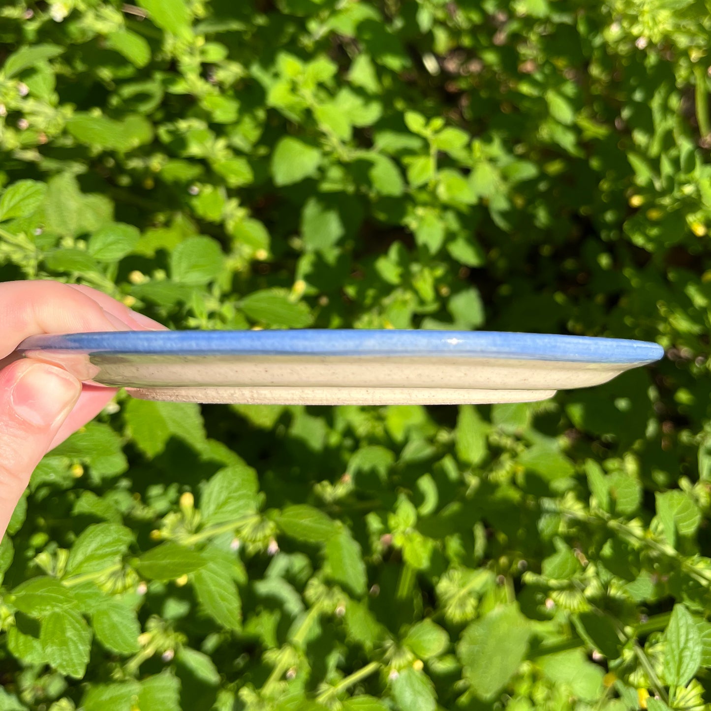Picnic Blanket Side Plate