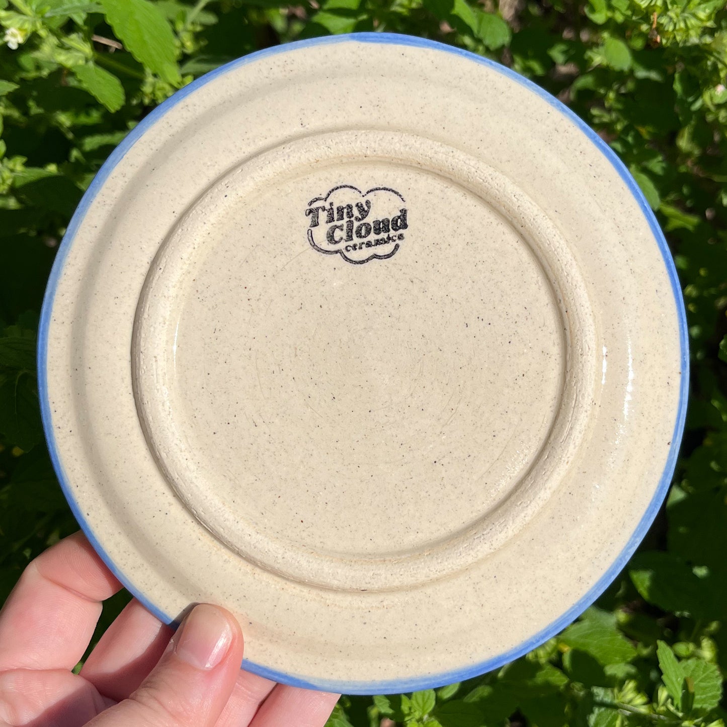 Picnic Blanket Side Plate