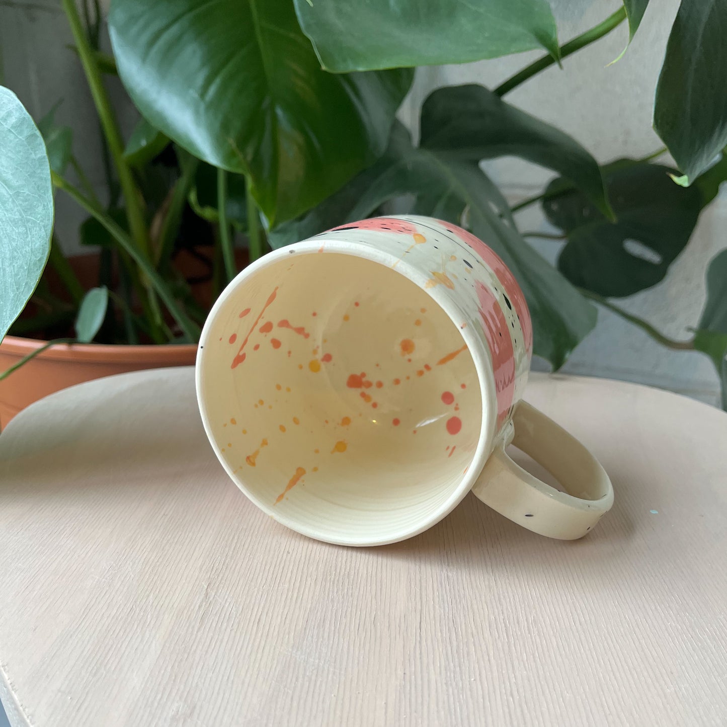 Brushy Mug