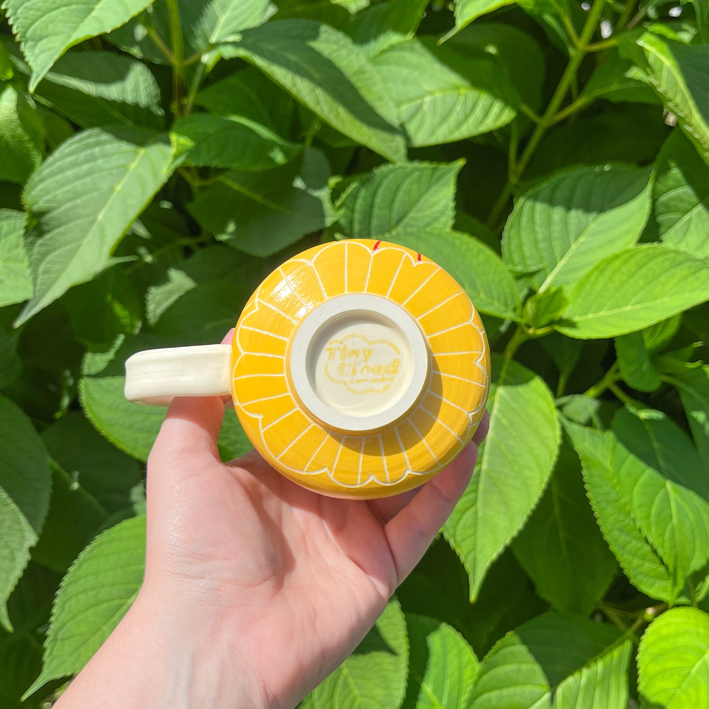 Taylor that is an APPLE