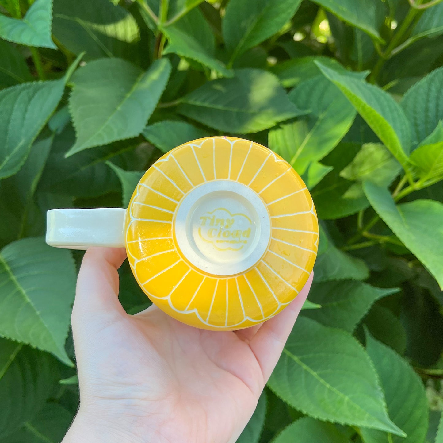 Kyle that is a Grapefruit