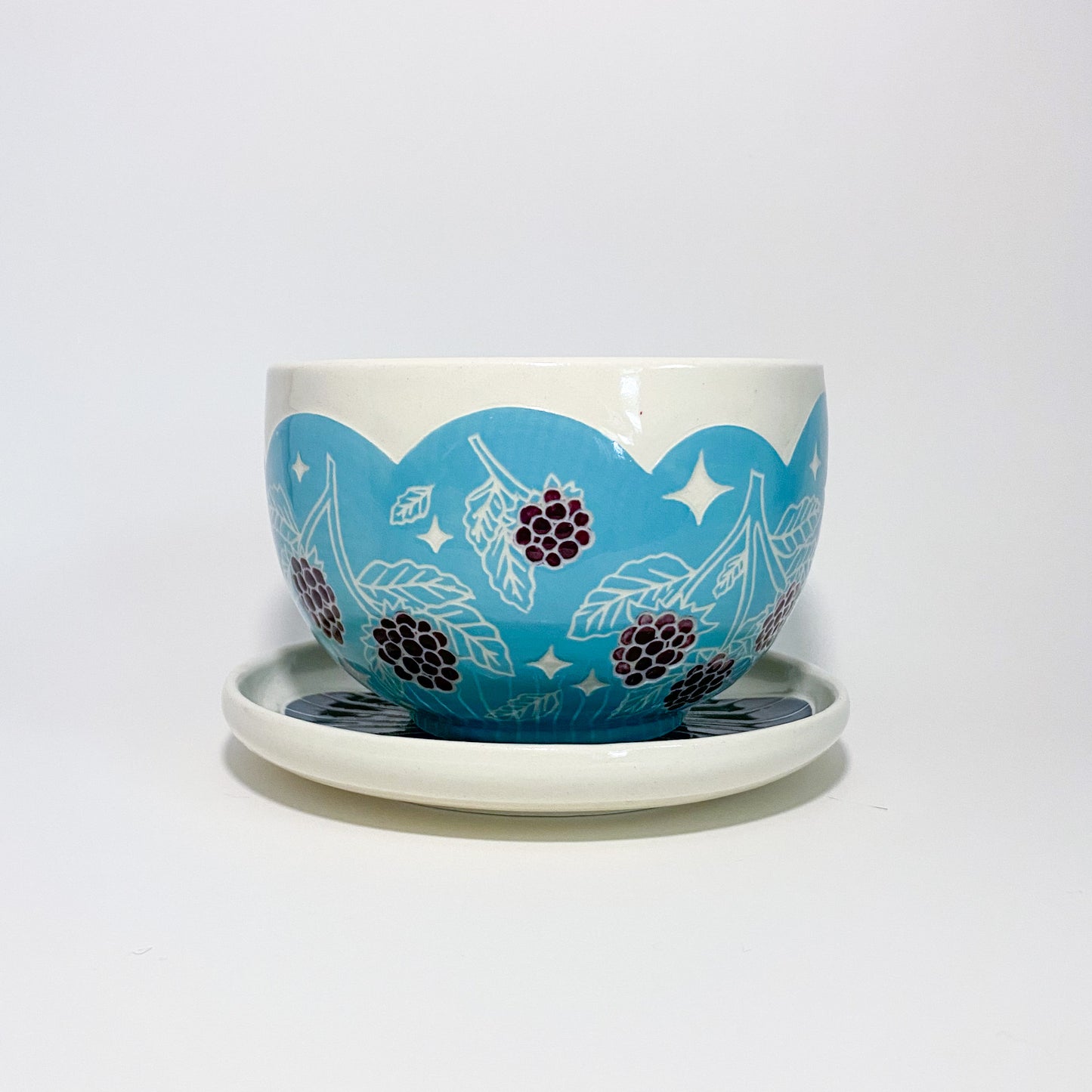 Blue Blackberry Planter