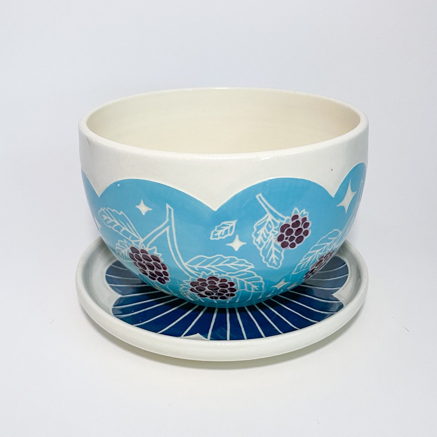 Blue Blackberry Planter