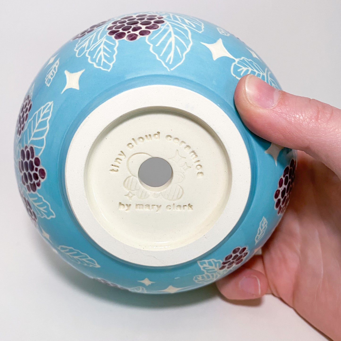 Blue Blackberry Planter