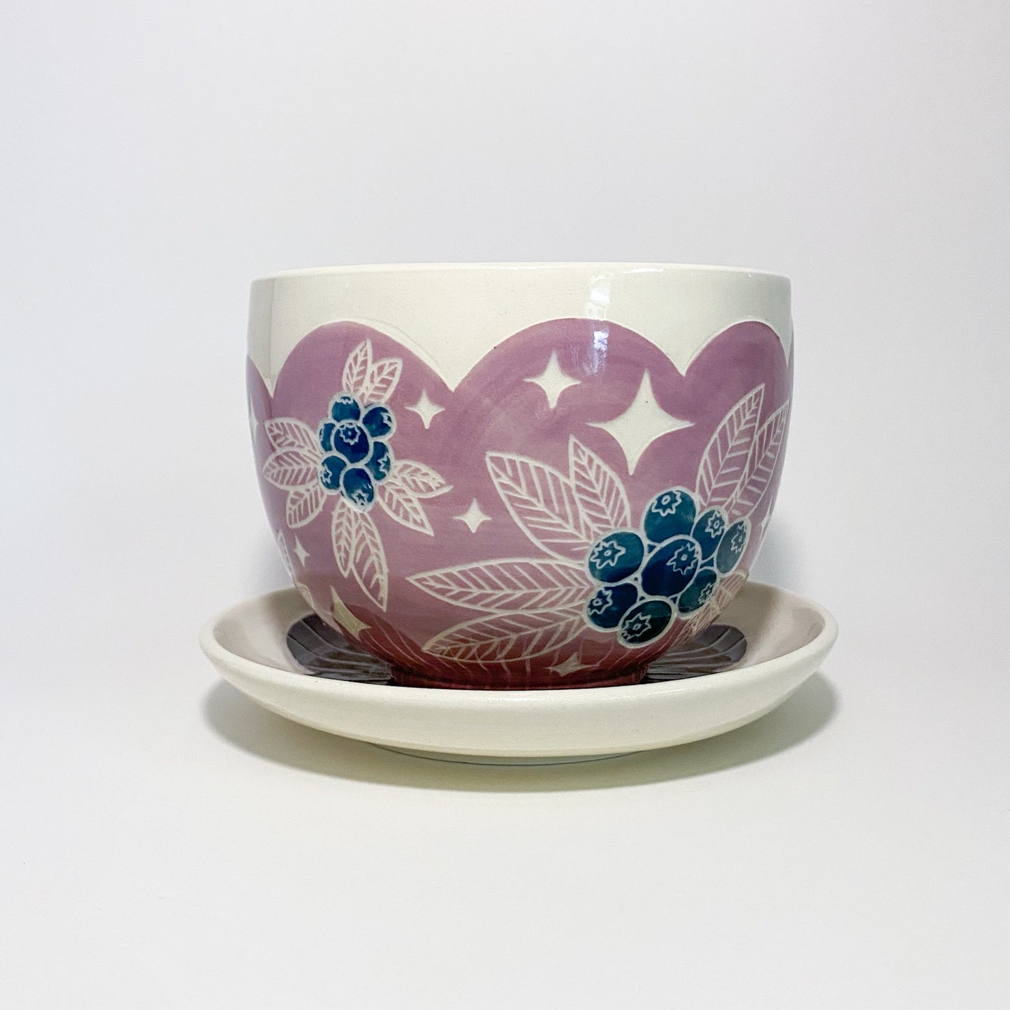 Purple Blueberry Planter