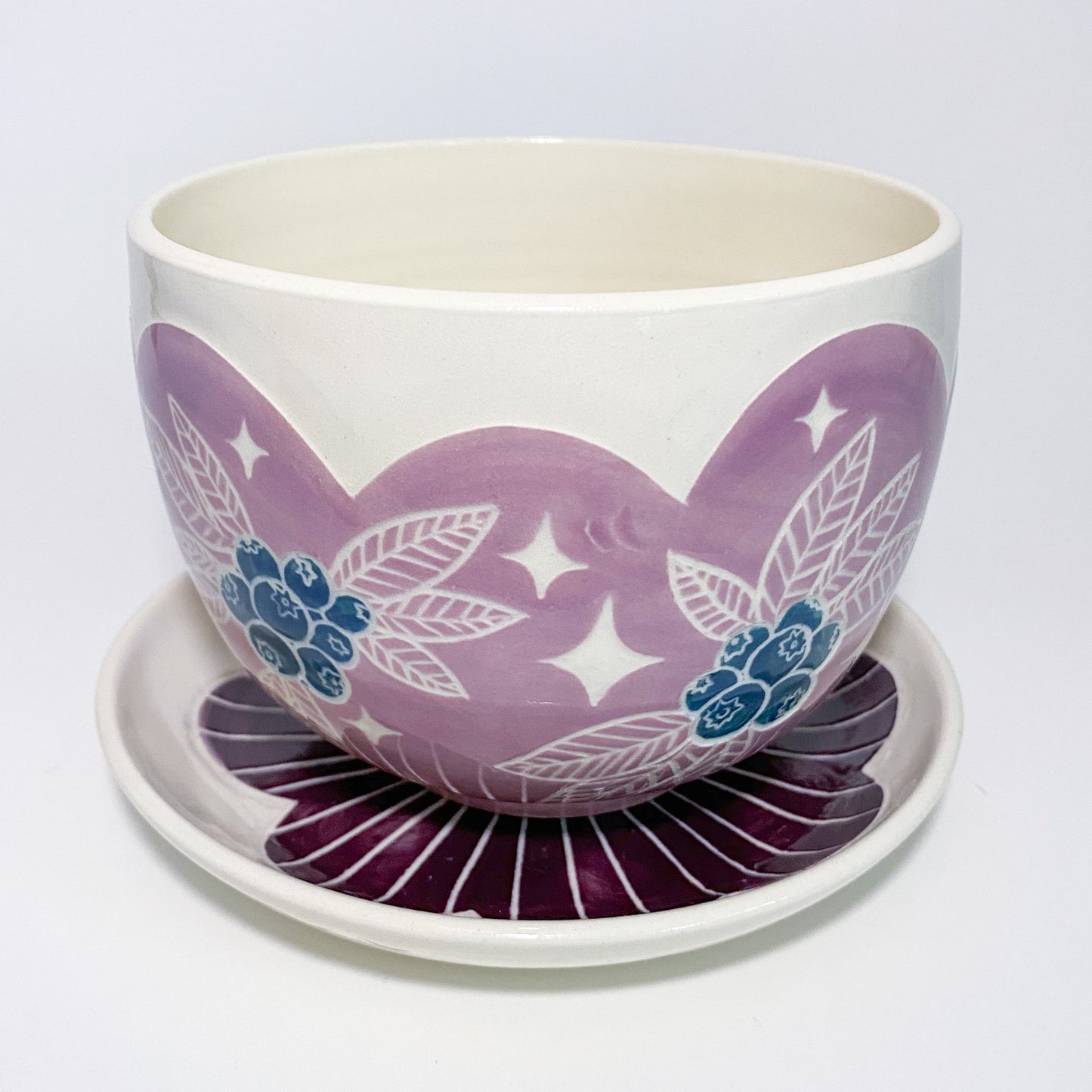 Purple Blueberry Planter