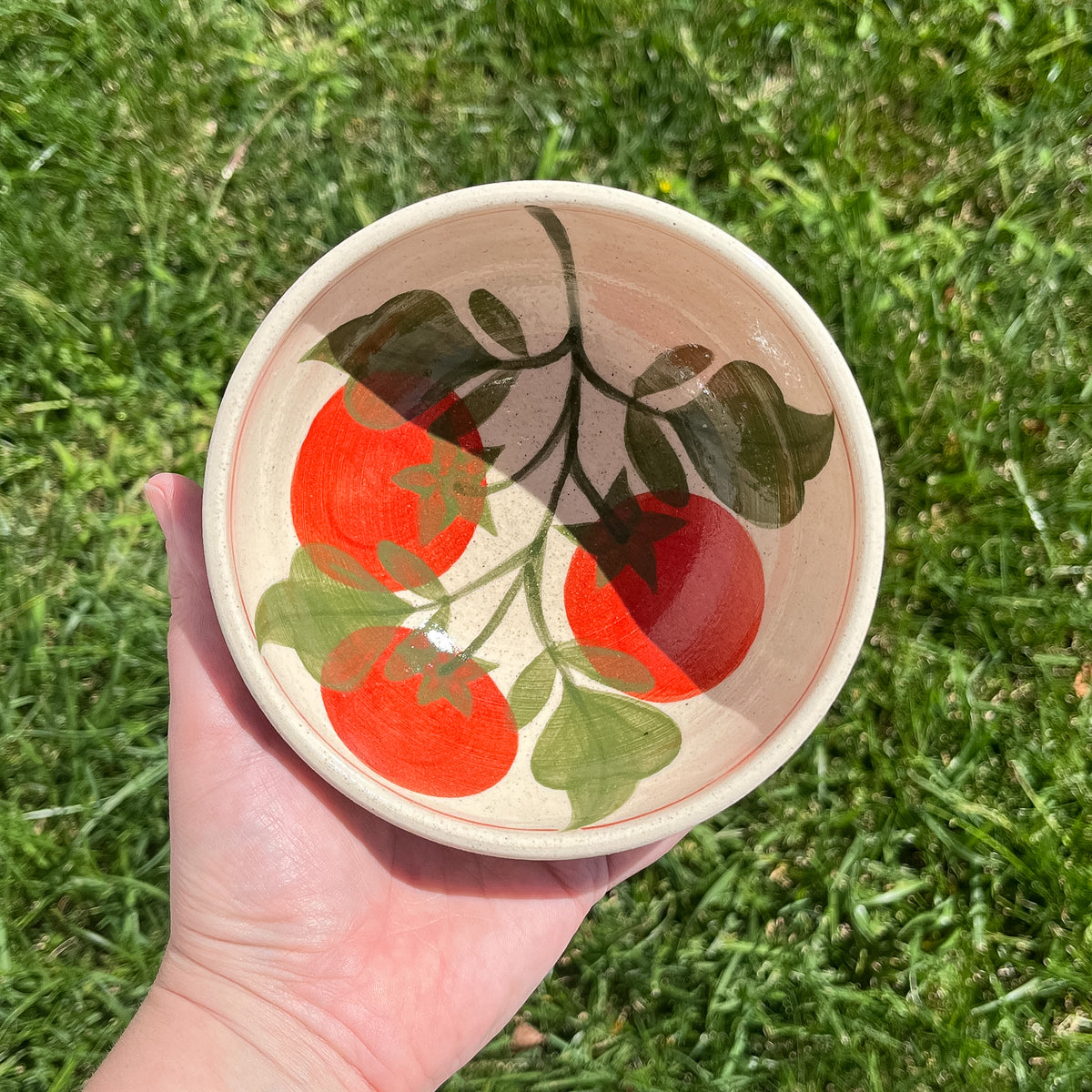 Tomato Soup Bowl different