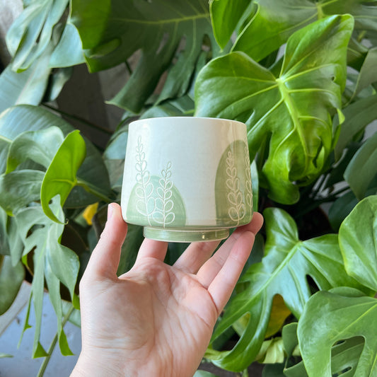 Green Fern Cup