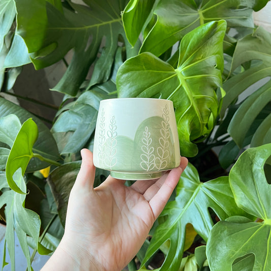 Green Fern Cup