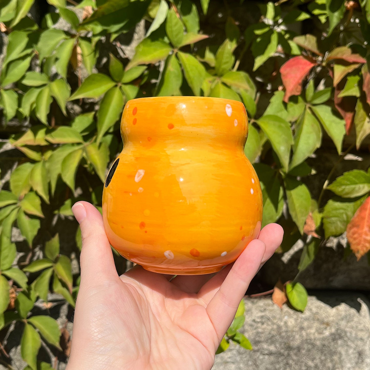 Gooby Gourd Mug 5