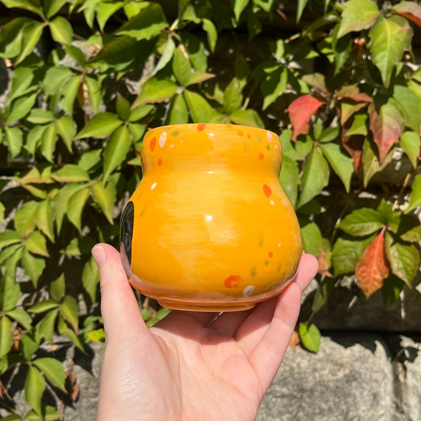 Gooby Gourd Mug 6