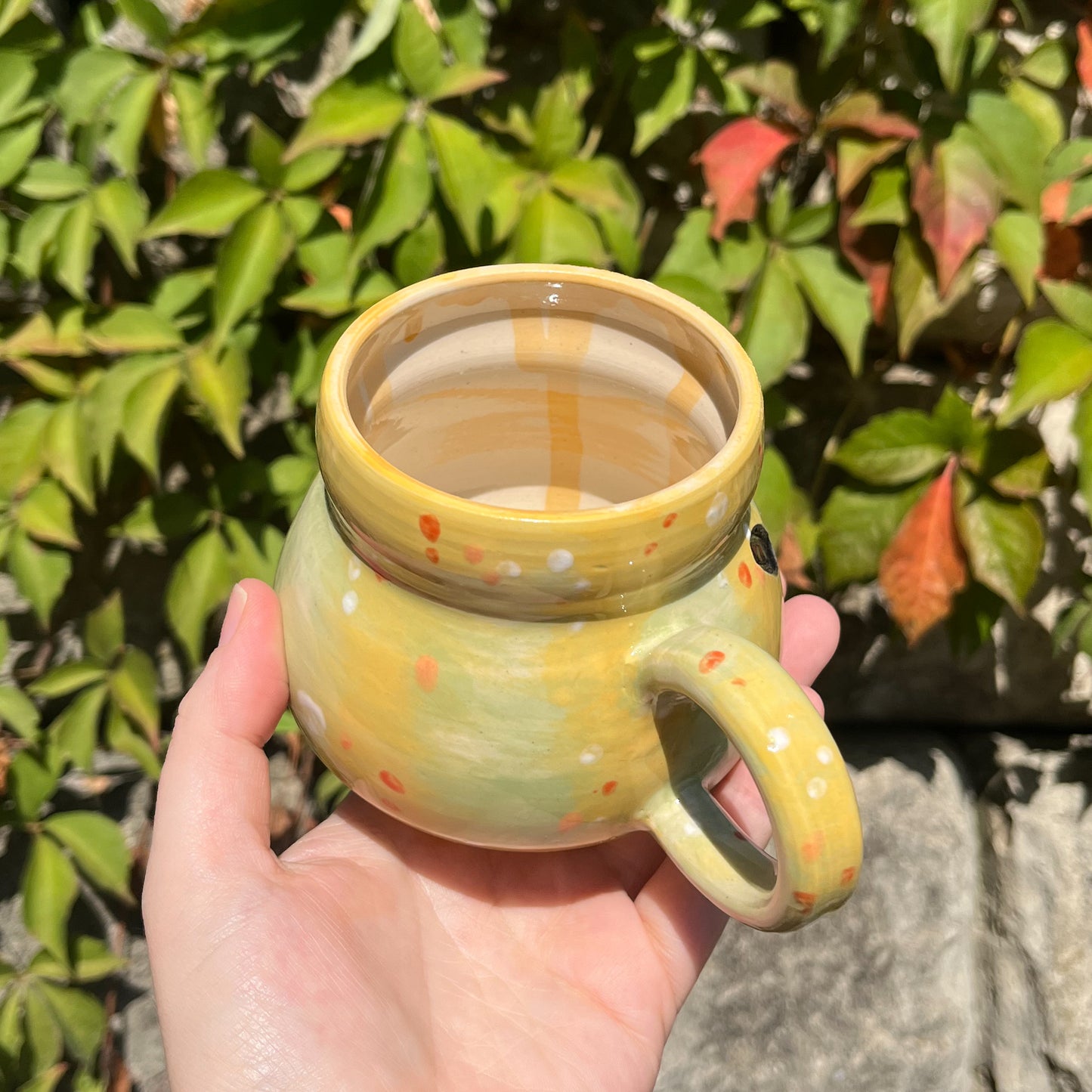 Gooby Gourd Mug 8