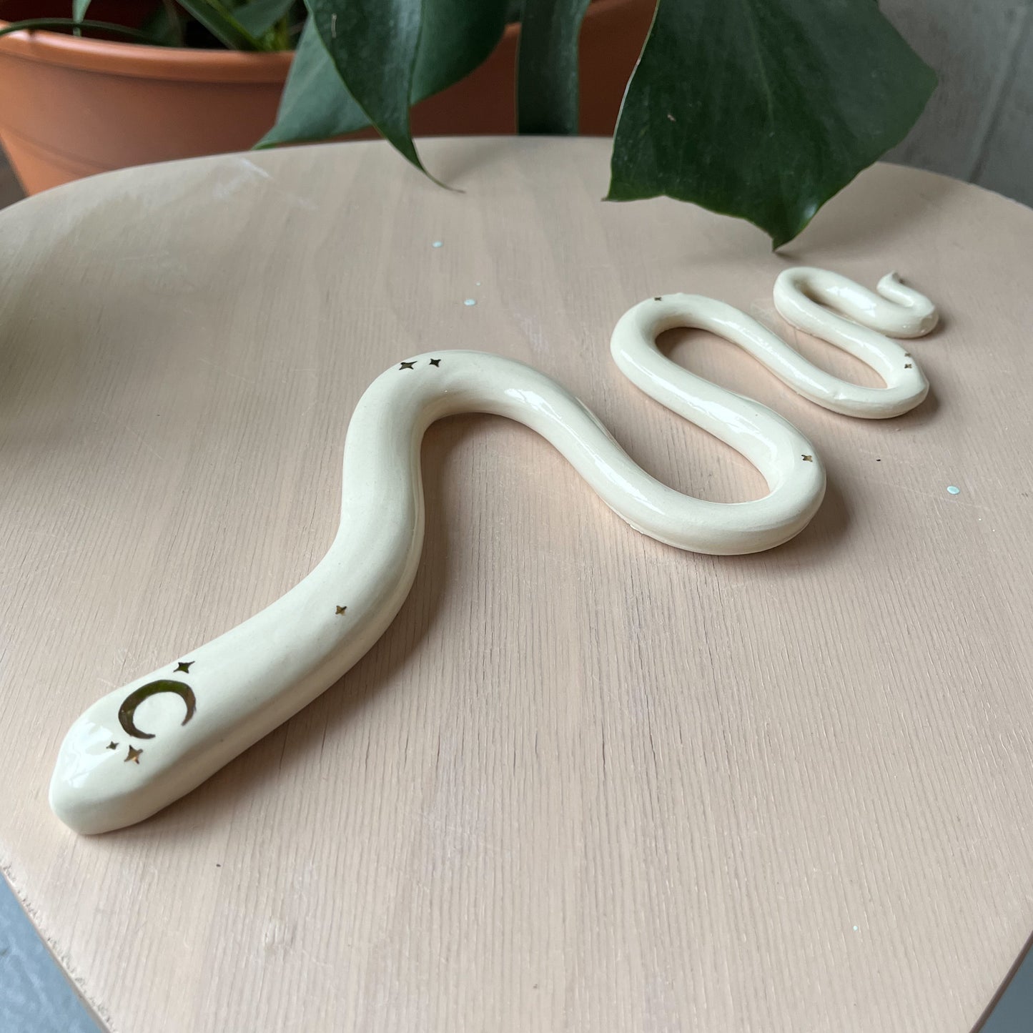 Snake 5